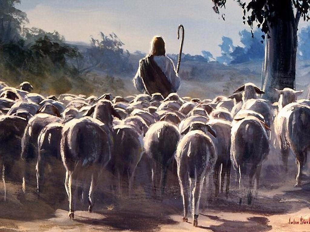 Nghe để sống